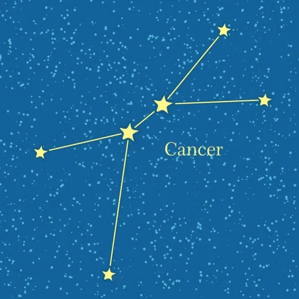 星座今日运势准吗女生(附3个科学解读)