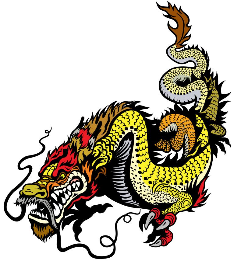 龙年十二生肖，属龙者运势揭秘  第2张