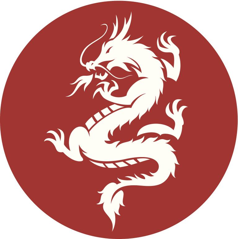 龙年出生男孩起名字姓张怎么取（张龙子名取佳意）  第2张
