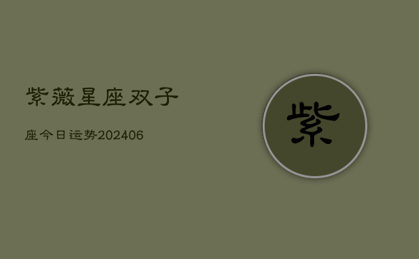 紫薇星座双子座今日运势(6月15日)  第1张